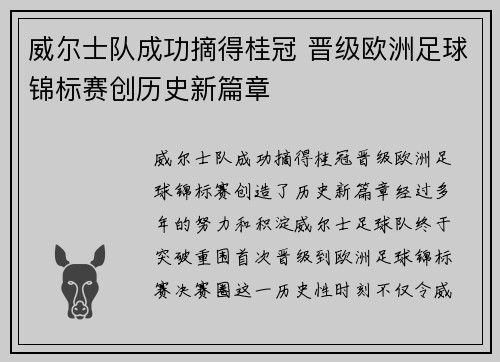 威尔士队成功摘得桂冠 晋级欧洲足球锦标赛创历史新篇章