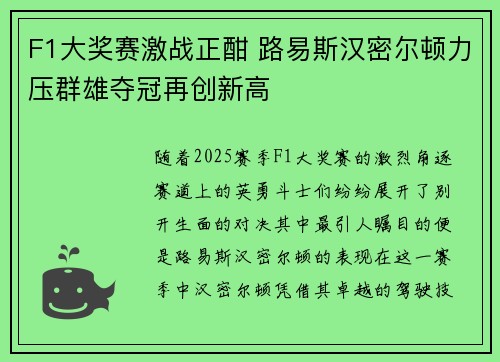 F1大奖赛激战正酣 路易斯汉密尔顿力压群雄夺冠再创新高